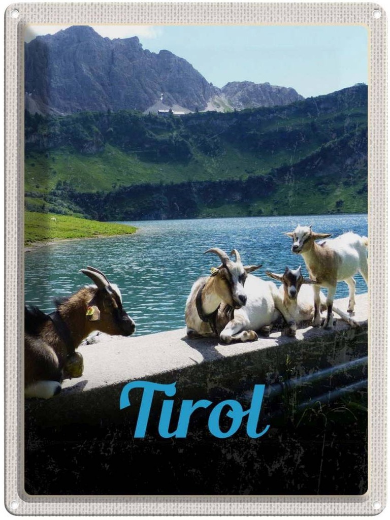 Blechschild 40x30 cm Tirol Österreich Urlaub Ziegen Wasser Natur Bildmotiv Reisemotiv Abenteuer Reisen Europa