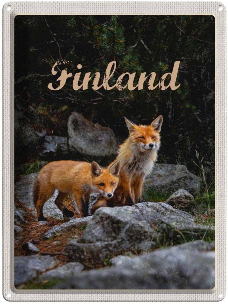 Blechschild 40x30 cm Finnland Füchse Urlaub Wald Tiere Natur Bildmotiv Reisemotiv Abenteuer Reisen Europa