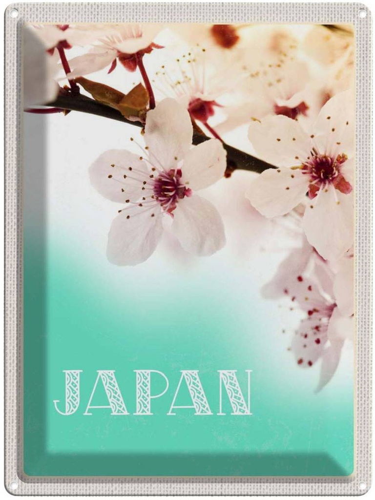 Blechschild 40x30 cm Japan Asien Urlaub Blume weiß rosa Natur Bildmotiv Reisemotiv Abenteuer Reisen