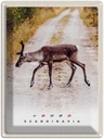 Blechschild 40x30 cm Skandinawien Hirsch Natur Weg Bildmotiv Reisemotiv Abenteuer Reisen Urlaub