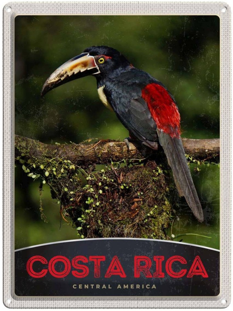 Blechschild 40x30 cm Costa Rica Urlaub Central America Vogel Natur Bildmotiv Reisemotiv Abenteuer Reisen