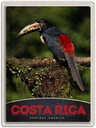 Blechschild 40x30 cm Costa Rica Urlaub Central America Vogel Natur Bildmotiv Reisemotiv Abenteuer Reisen