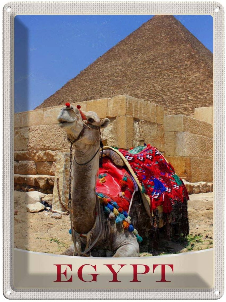 Blechschild 40x30 cm Ägypten Afrika Kamel Wüste Bildmotiv Reisemotiv Abenteuer Reisen Urlaub