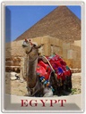 Blechschild 40x30 cm Ägypten Afrika Kamel Wüste Bildmotiv Reisemotiv Abenteuer Reisen Urlaub