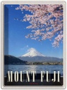 Blechschild 40x30 cm Mont Fuji Urlaub Japan Asien Meer Natur Bildmotiv Reisemotiv Abenteuer Reisen