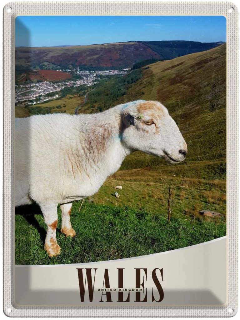 Blechschild 40x30 cm Wales United Europa Urlaub Kingdom Schaf Wiese Natur Bildmotiv Reisemotiv Abenteuer Reisen