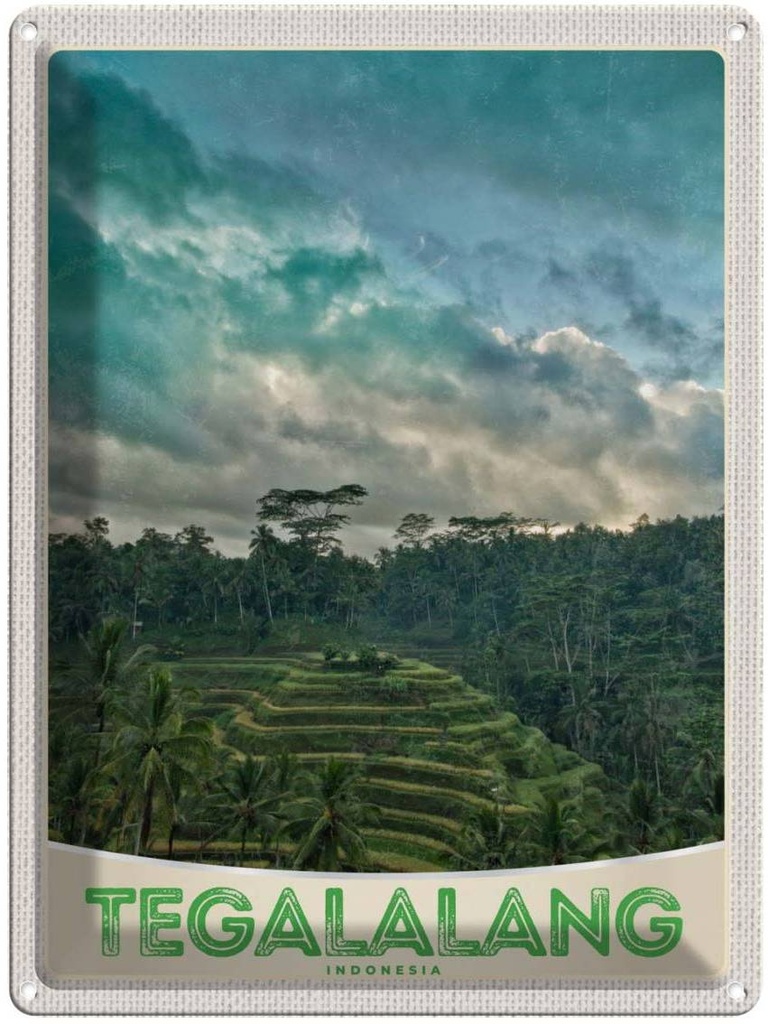 Blechschild 40x30 cm Tegalalang Indonesien Asien Tropen Bildmotiv Reisemotiv Abenteuer Reisen Urlaub
