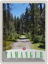 Blechschild 40x30 cm Tamangur Schweiz Urlaub Natur Wald Bäume Bildmotiv Reisemotiv Abenteuer Reisen Europa