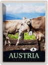 Blechschild 40x30 cm Österreich Tiere Urlaub Weide Natur Gebirge Bildmotiv Reisemotiv Abenteuer Reisen Europa