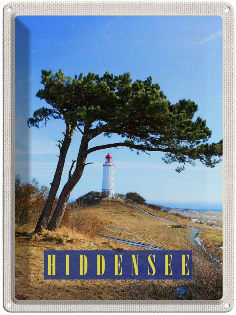 Blechschild 40x30 cm Hiddensee Leuchtturm Urlaub Baum Weide Wiese Bildmotiv Reisemotiv Abenteuer Reisen Europa