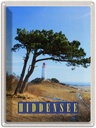 Blechschild 40x30 cm Hiddensee Leuchtturm Urlaub Baum Weide Wiese Bildmotiv Reisemotiv Abenteuer Reisen Europa