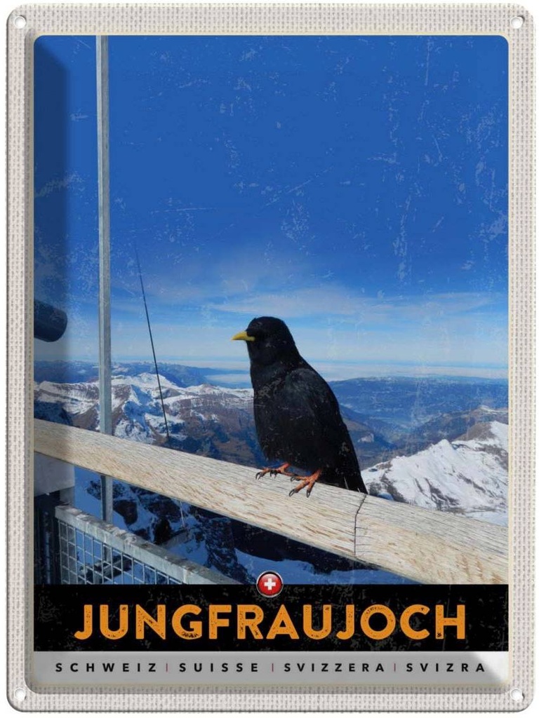 Blechschild 40x30 cm Jungfraujoch Schweiz Urlaub Rabe Winter Natur Bildmotiv Reisemotiv Abenteuer Reisen Europa