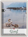 Blechschild 40x30 cm Genf Ente Stadt Urlaub See Boot NaturBerge Bildmotiv Reisemotiv Abenteuer Reisen Straße
