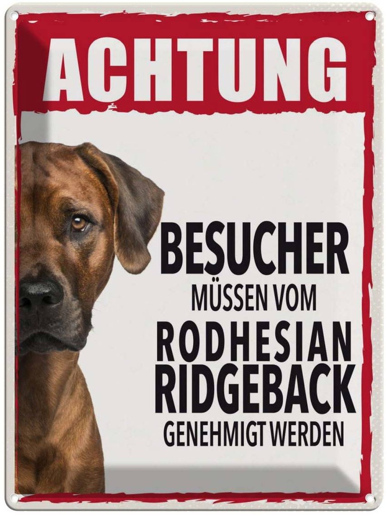 Blechschild 40x30 cm Tiere Achtung Rodhesian Ridgeback Tier Haustier Hund