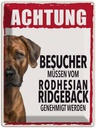 Blechschild 40x30 cm Tiere Achtung Rodhesian Ridgeback Tier Haustier Hund