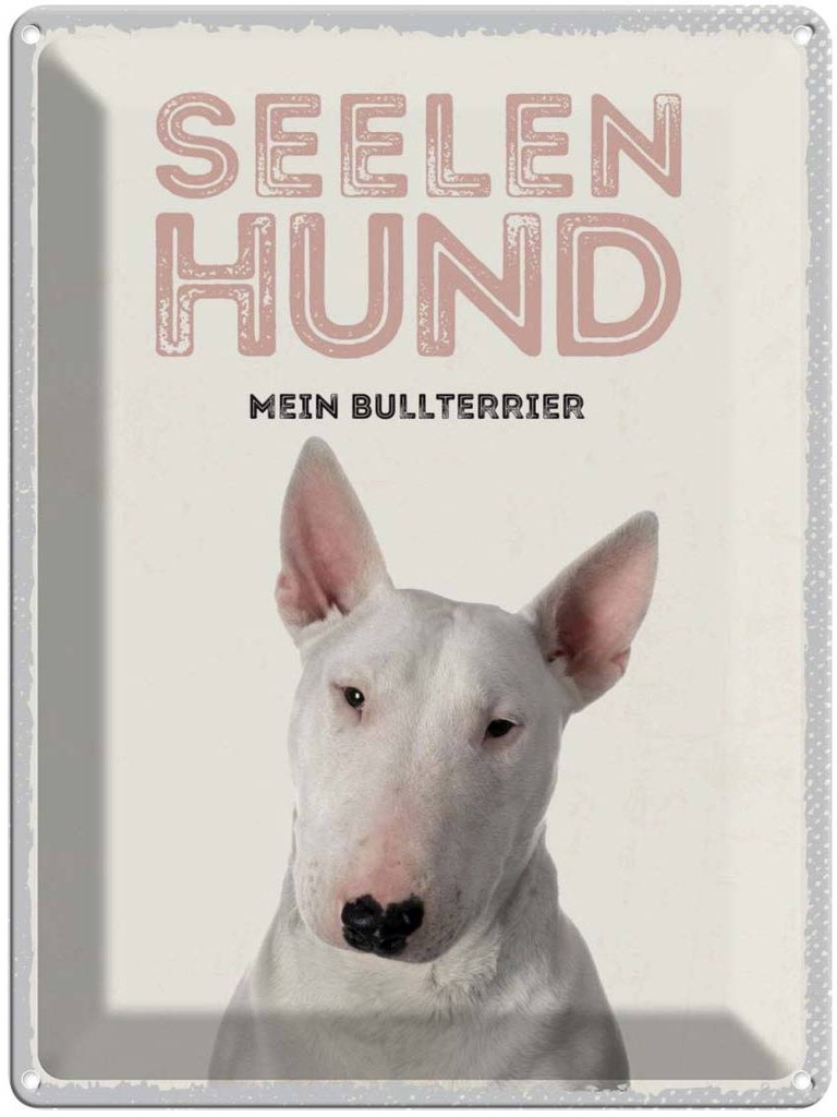 Blechschild 40x30 cm Seelen Hund mein Bullterrier Tier Haustier