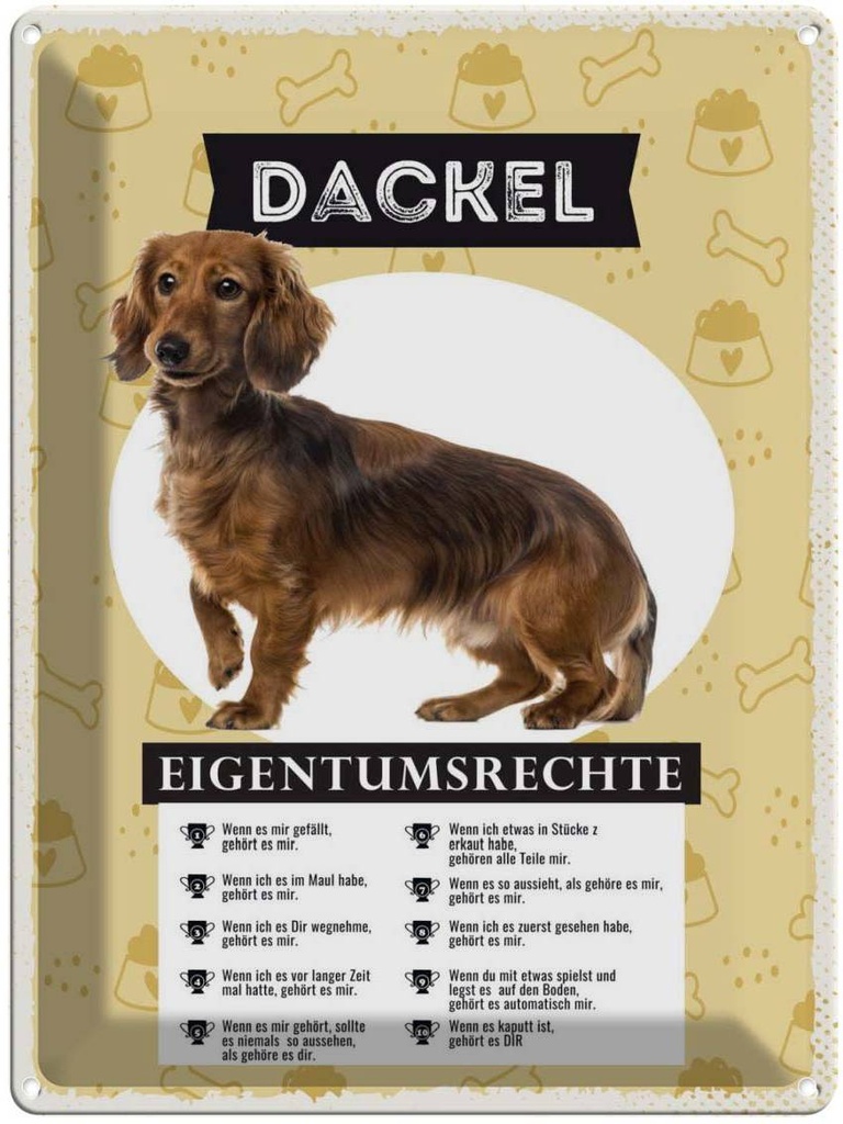 Blechschild 40x30 cm Dackel Eigentumsrechte Tier Haustier Hund