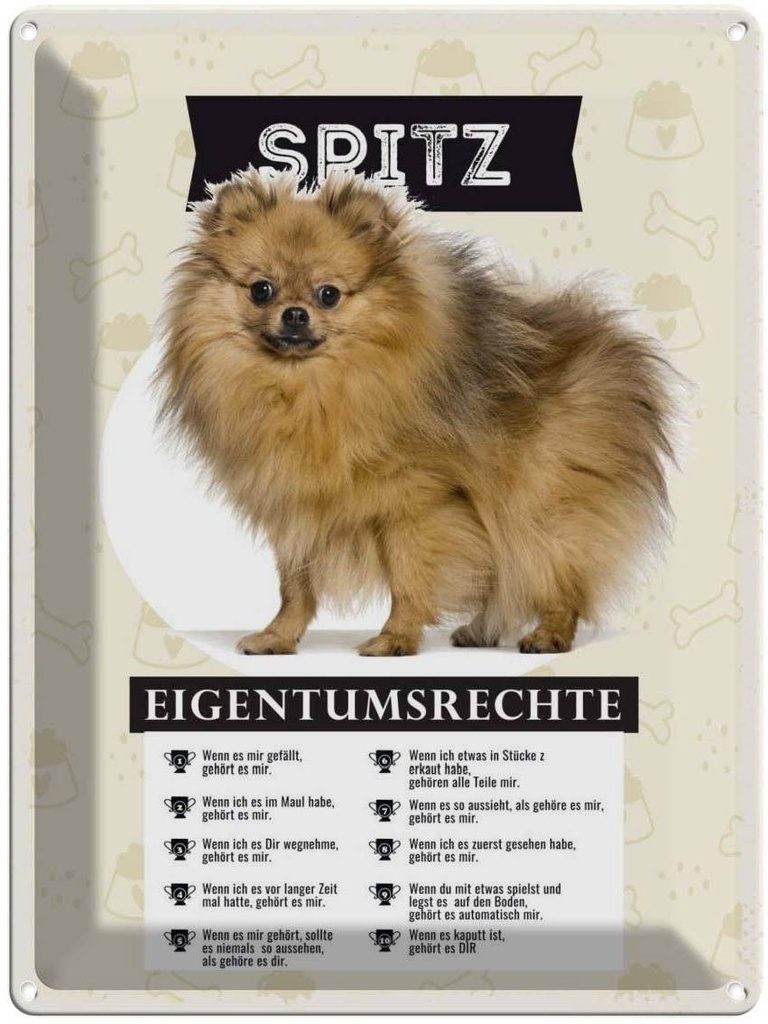 Blechschild 40x30 cm Spitz Eigentumsrechte Tier Haustier Hund