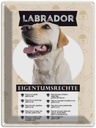 Blechschild 40x30 cm Labrador Eigentumsrechte Tier Haustier Hund