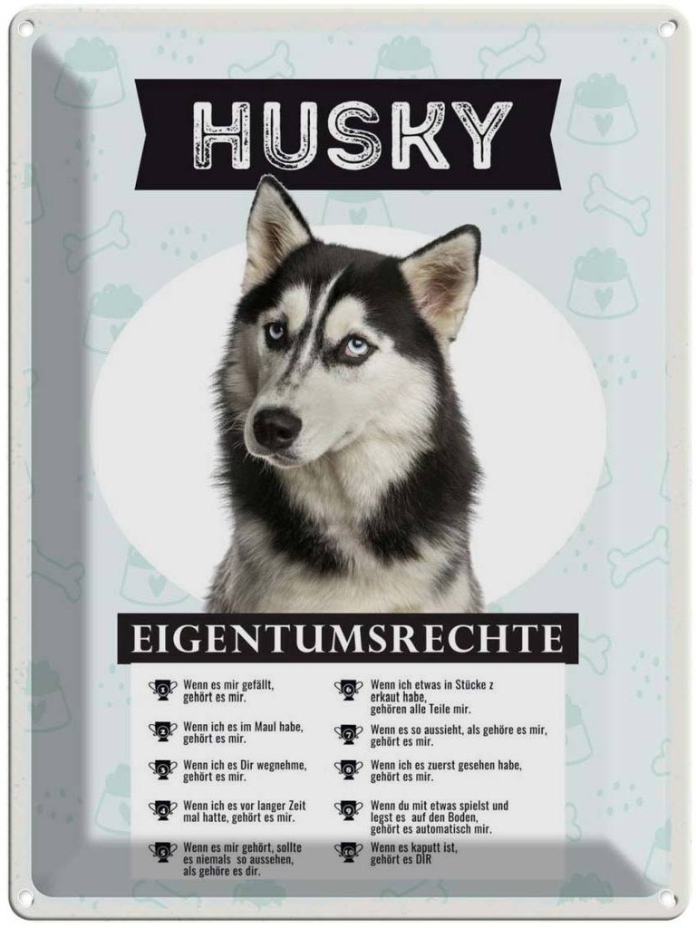 Blechschild 40x30 cm Husky Eigentumsrechte Tier Haustier Hund