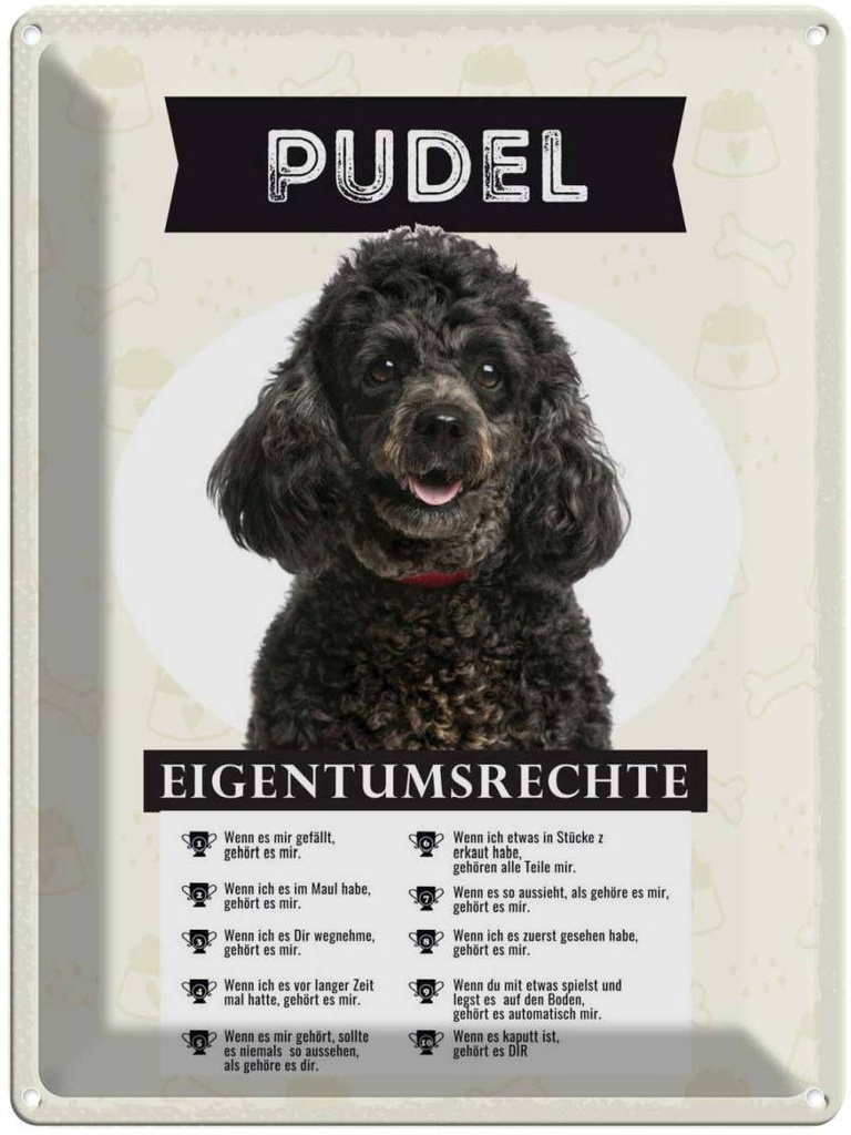 Blechschild 40x30 cm Pudel Eigentumsrechte Tier Haustier Hund