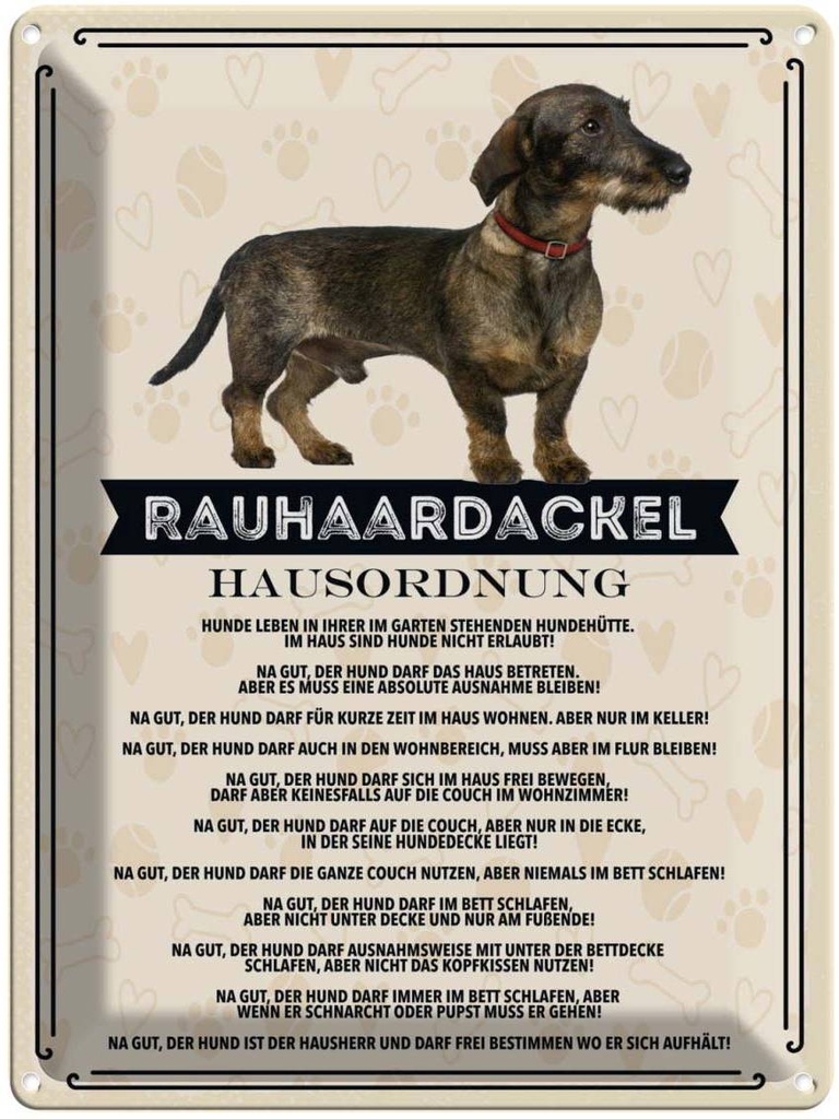 Blechschild 40x30 cm Tiere Rauhaardackel Hausordnung Tier Haustier Hund