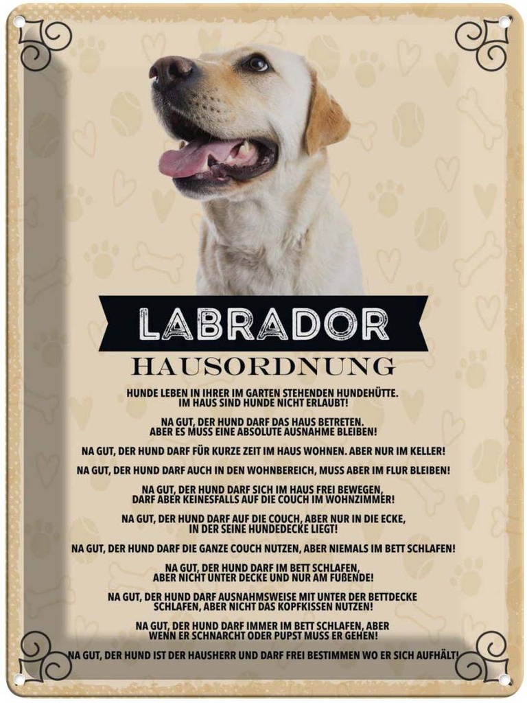 Blechschild 40x30 cm Tiere Labrador Hausordnung Hunde Tier Haustier Hund