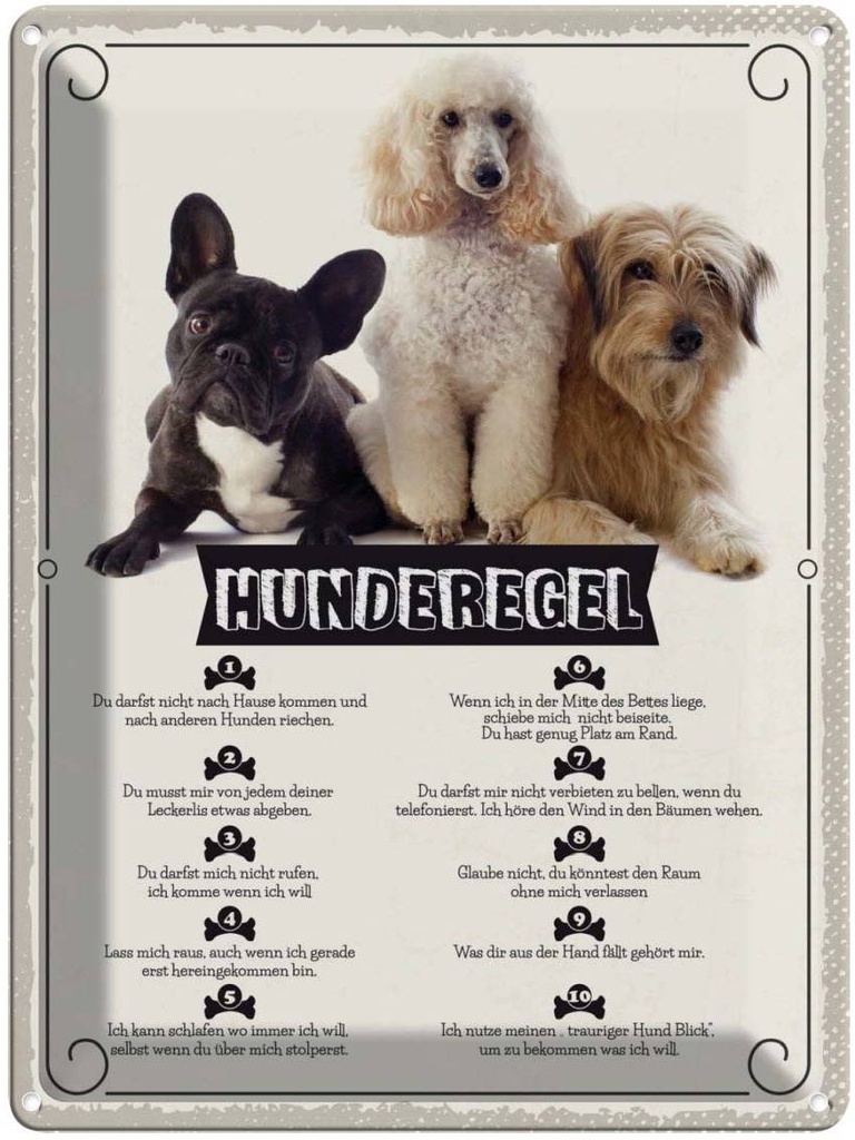 Blechschild 40x30 cm Hunderegel schlafen wo ich will Tier Haustier Hund