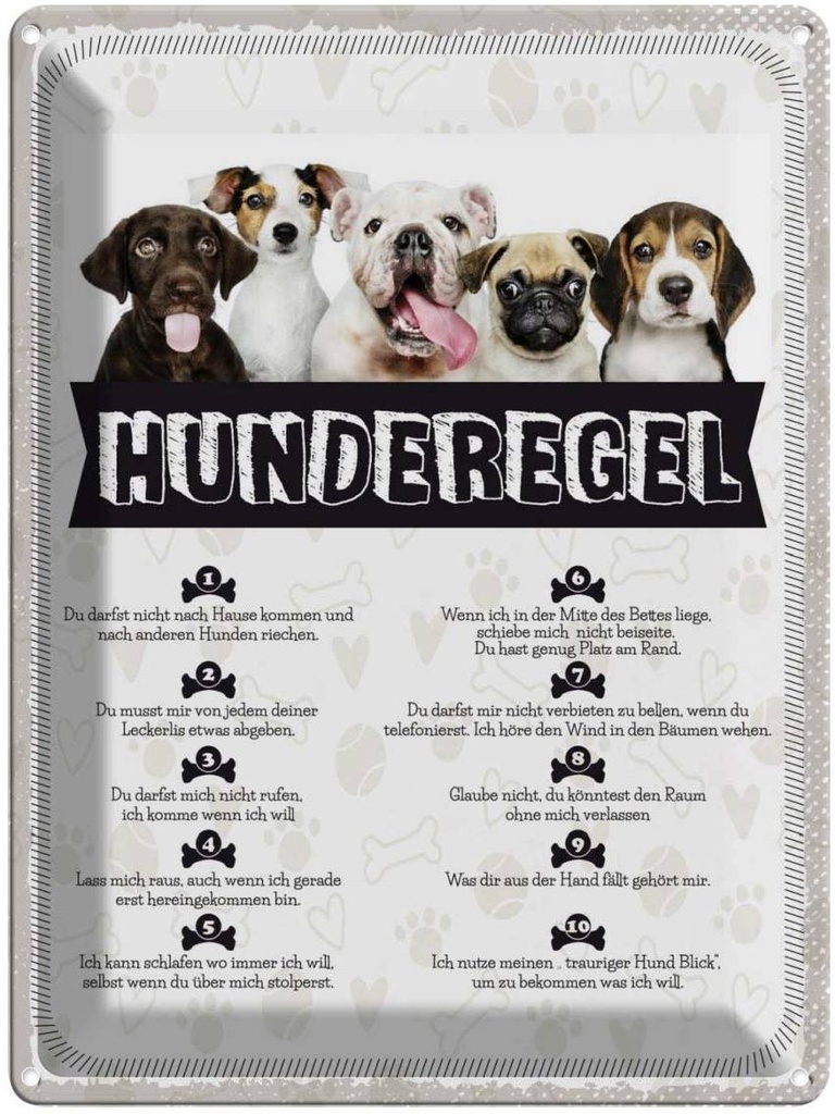 Blechschild 40x30 cm Hunderegel lass mich raus Dekoration Hund