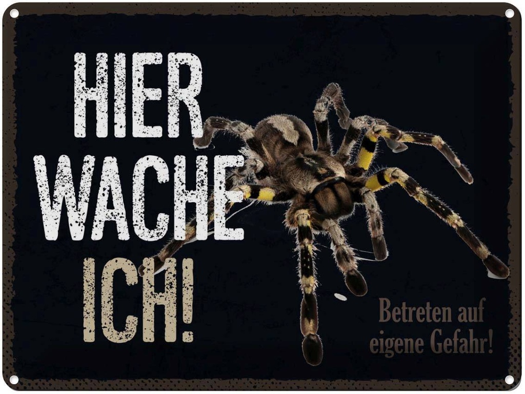 Blechschild 30x40 cm Spinne hier wache ich eigene Gefahr Spruch Zitat