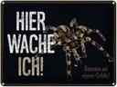 Blechschild 30x40 cm Spinne hier wache ich eigene Gefahr Spruch Zitat