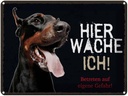 Blechschild 30x40 cm Doberman hier wache eigene Gefahr Tier Haustier Hund