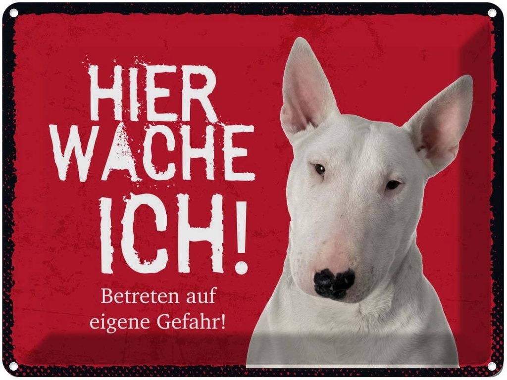 Blechschild 30x40 cm Bullterrier hier wache eigene Gefahr Tier Haustier Hund