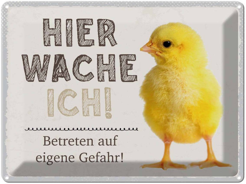 Blechschild 30x40 cm Küken hier wache ich eigene Gefahr Spruch Zitat