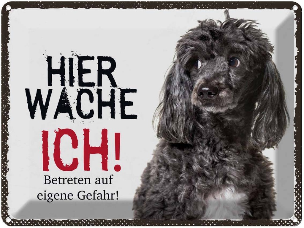 Blechschild 30x40 cm Pudel hier wache ich eigene Gefahr Tier Haustier Hund
