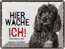 Blechschild 30x40 cm Pudel hier wache ich eigene Gefahr Tier Haustier Hund