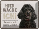 Blechschild 30x40 cm Pudel hier wache eigene Gefahr Tier Haustier Hund