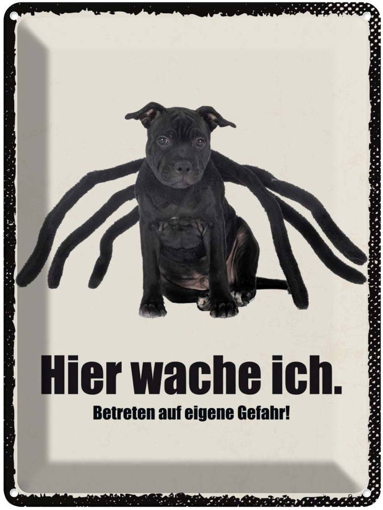 Blechschild 40x30 cm Hund hier wache ich eigene Gefahr Tier Haustier