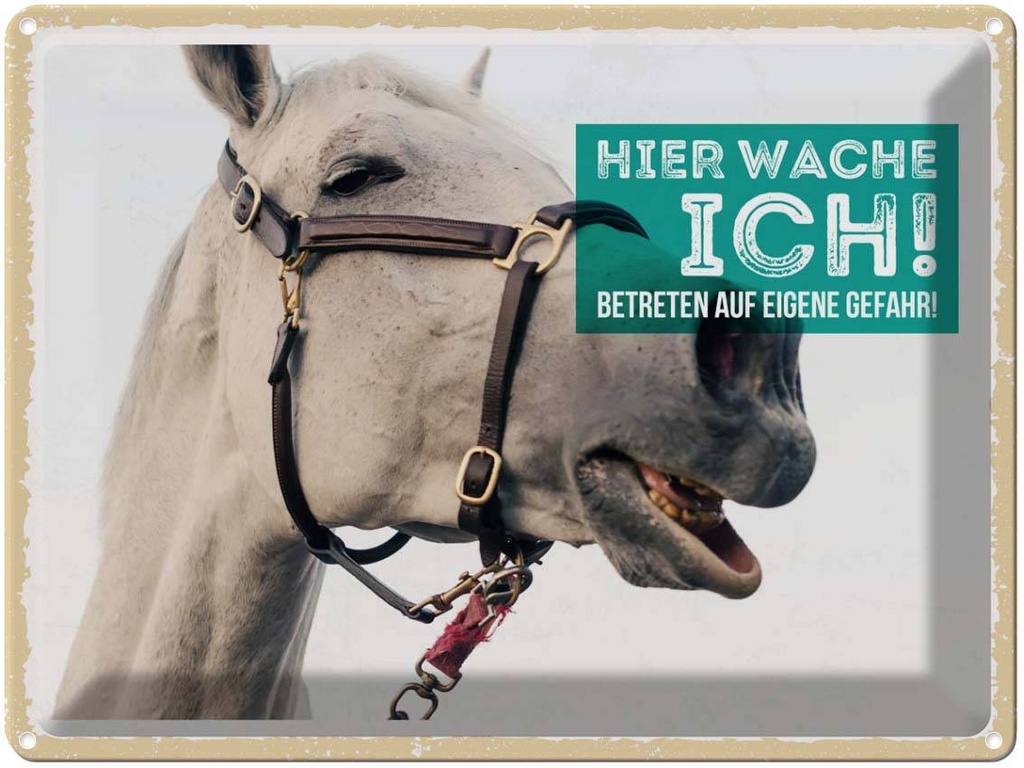 Blechschild 30x40 cm Pferd Schimmel hier wache ich Warnschild Hinweisschild Sicherheit Vorsicht