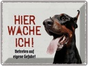 Blechschild 30x40 cm Doberman hier wache eigene Gefahr Tier Haustier Hund