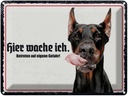 Blechschild 30x40 cm Doberman hier wache ich Tier Haustier Hund
