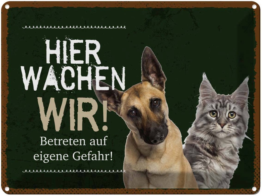 Blechschild 30x40 cm Hund Katze hier wachen wir Tier Haustier