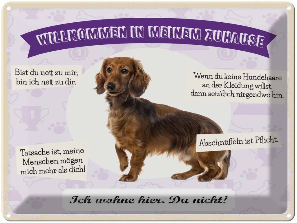 Blechschild 30x40 cm Tiere Dackel willkommen wohne hier Tier Haustier Hund