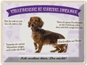 Blechschild 30x40 cm Tiere Dackel willkommen wohne hier Tier Haustier Hund