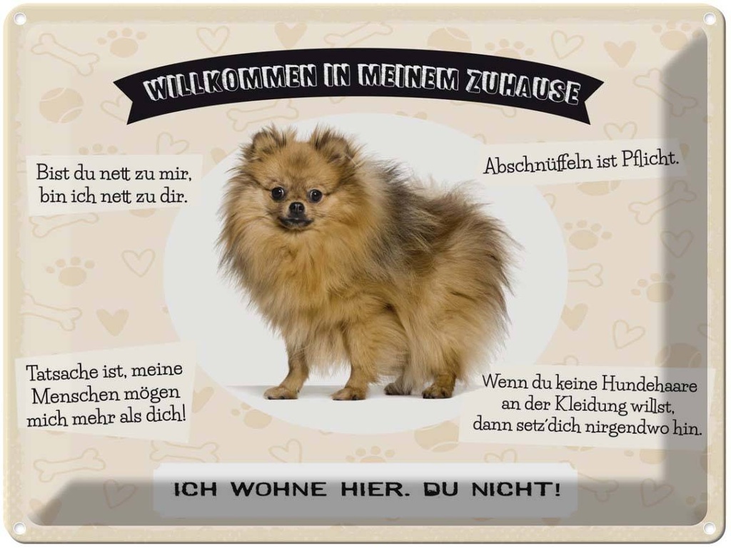 Blechschild 30x40 cm Tiere Spitz willkommen wohne hier Tier Haustier Hund