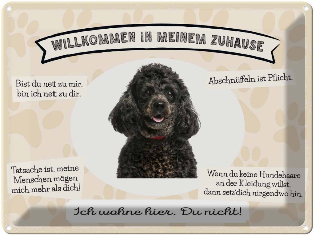 Blechschild 30x40 cm Tiere Pudel willkommen Zuhause Tier Haustier Hund