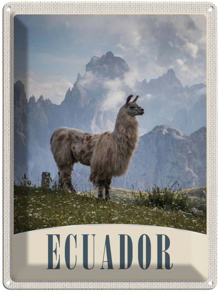 Blechschild 40x30 cm Fuerteventura Spanien Lama Berge Bildmotiv Reisemotiv Abenteuer Reisen Europa Urlaub