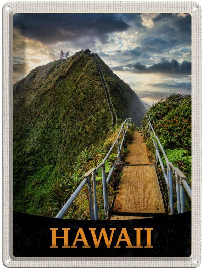 Blechschild 40x30 cm Hawai Insel Strand Palmen Natur Bildmotiv Reisemotiv Abenteuer Reisen Urlaub