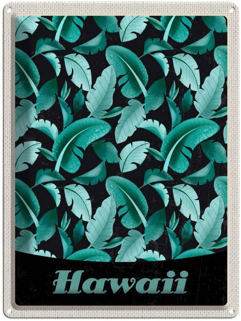 Blechschild 40x30 cm Hawai Insel Strand Blätter blau Bildmotiv Reisemotiv Abenteuer Reisen Urlaub