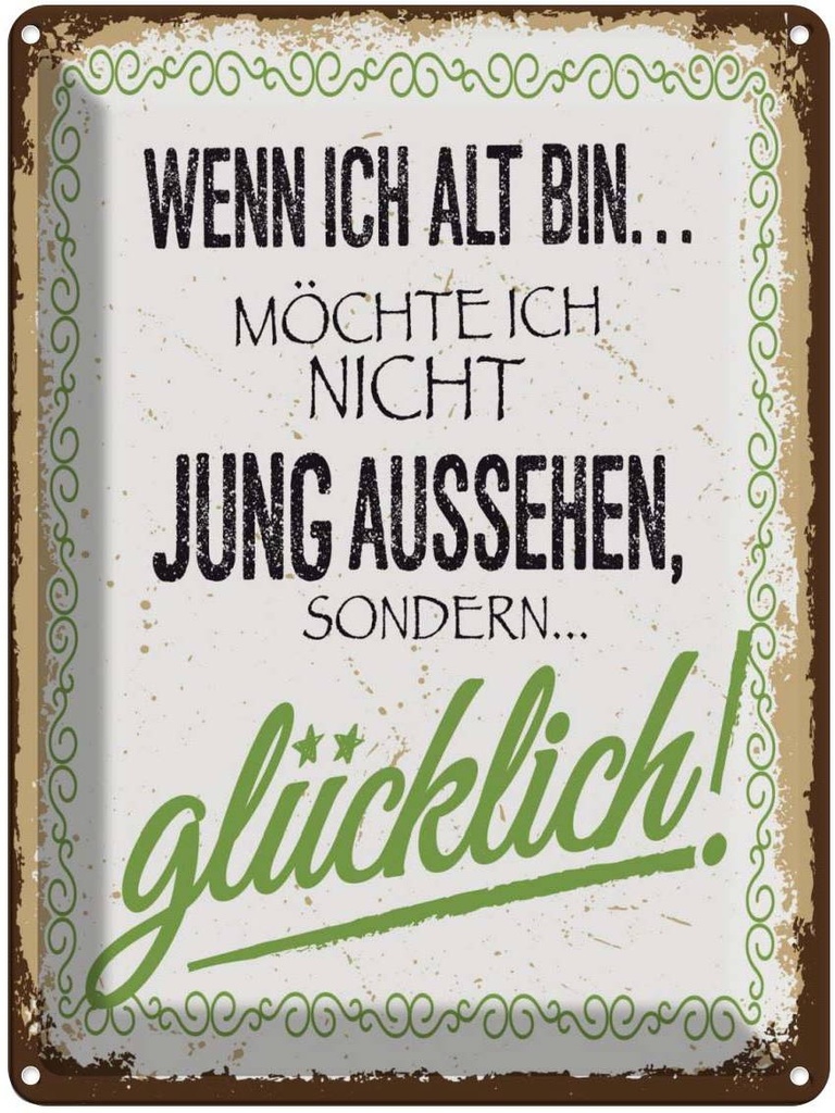 Blechschild 40x30 cm Wenn ich alt bin möchte nicht Spruch Zitat